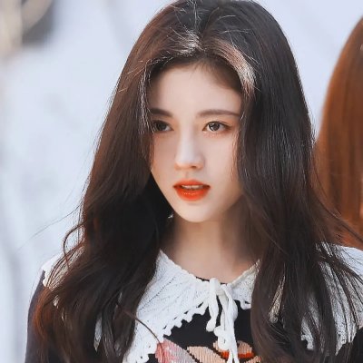 鹈鹕的故事